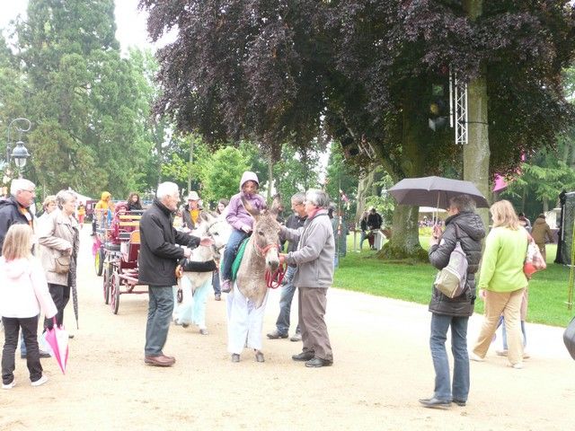 rodho 2013 (59).jpg